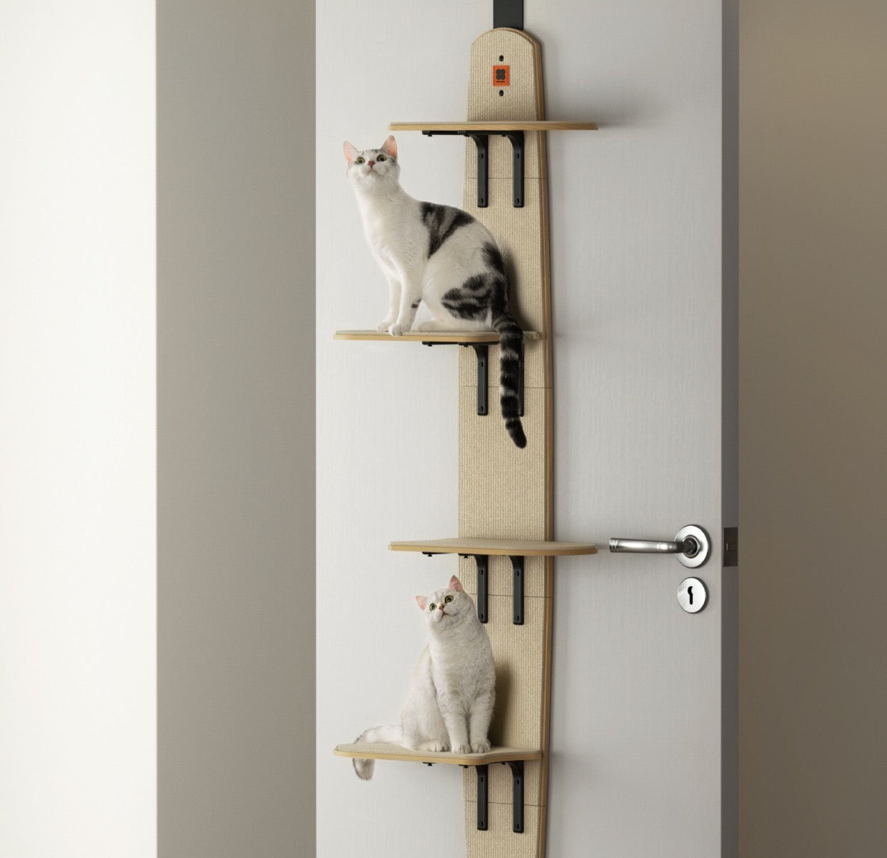 Cat Tree – Page 5 – pppet.ca