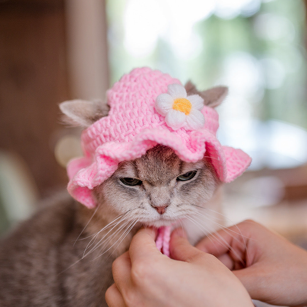 Crochet Cat Hat For Cat Crochet Hats For Cats – - Main Image